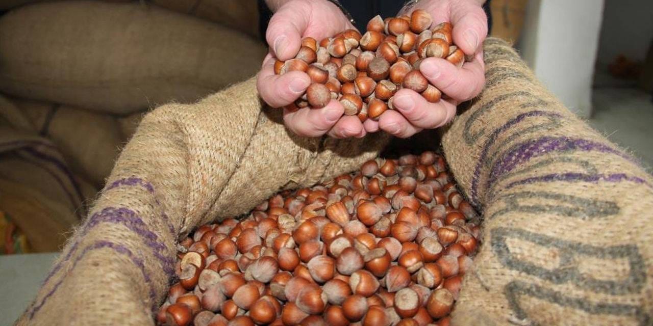 findiktan 1 milyar 610 milyon 163 bin gelir W2fg7qIa.jpg
